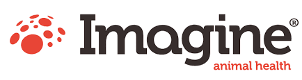 logo-imagine